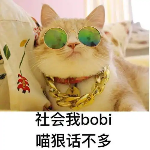 有谁知道抖音上猫咪摘眼镜的表情包吗
