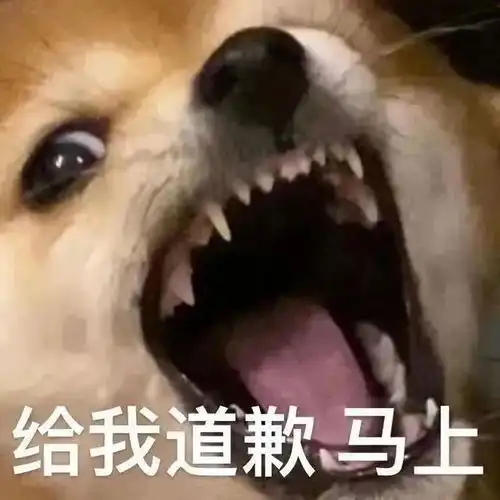 表情包,向海风许愿,在山海相见
