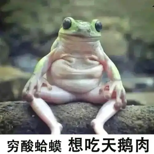 聊天斗图表情包i大家都听我说
