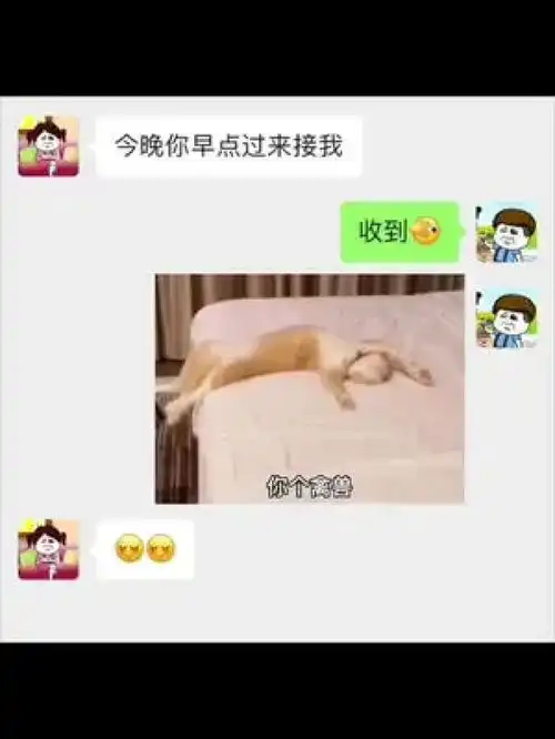 表情包套路表情包搞笑情侣日常
