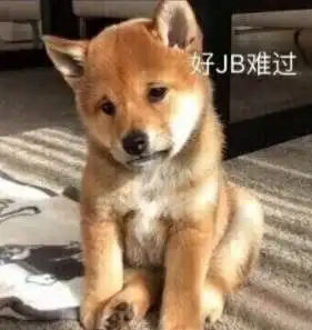 松江人,再上18天班又能放假啦但还有一波消息......
