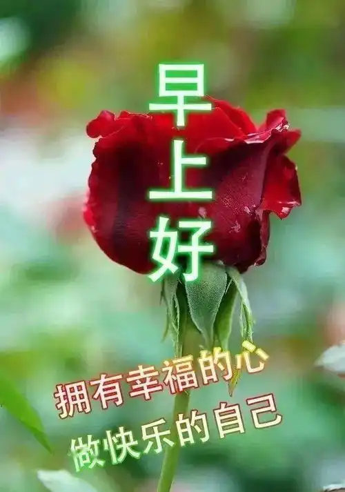 2021最新早上好图片带字表情包祝福,祝大家天天好运平安健康幸福
