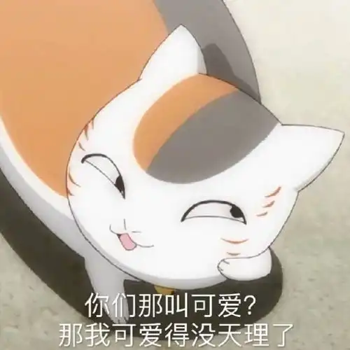 当喵咪遇上网红音乐,喵星吉祥物来啦
