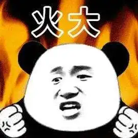 诈捐女子在水滴筹筹款近万元,却被扒出开跑车买名牌包
