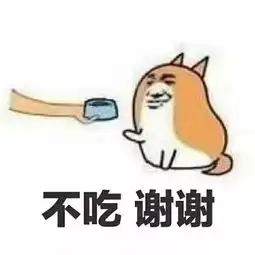 百丈百宿榴莲班长,给你向往的民宿生活
