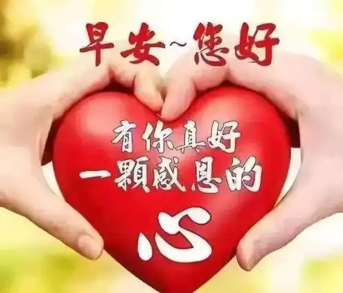 变化的是天气,不变的是情意
