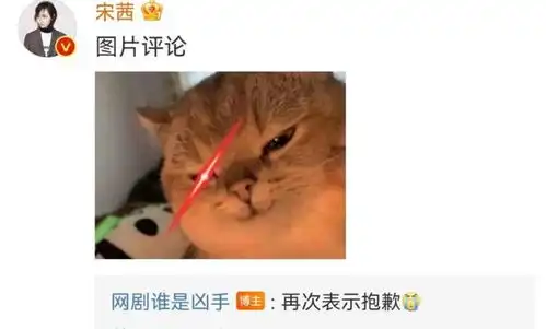 谁是凶手开播3天道歉2次,用宋茜旧照做受害者,宋茜表情包回应了
