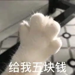 斗图表情包合集我错惹,给您跪了,原谅我,对不起
