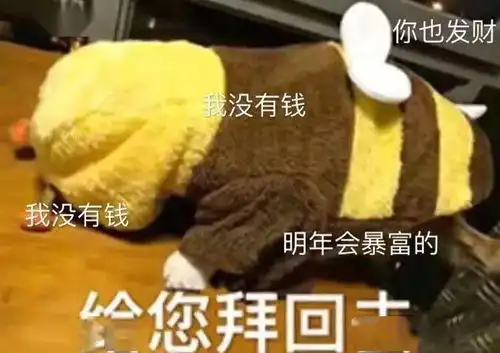 新年第一天,送你一份宝藏up名单

