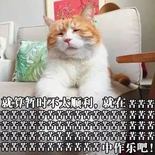 四六级说好了一起裸考,你却偷偷穿了毛衣
