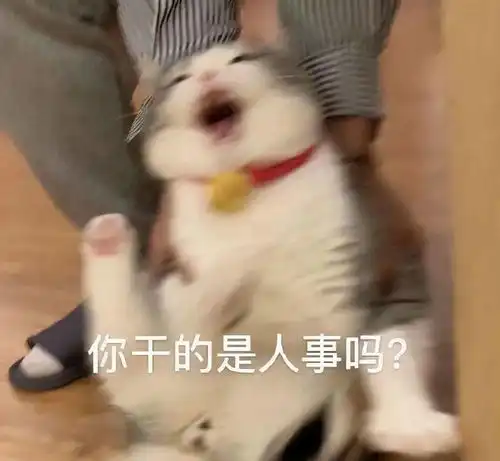 表情包动图你刚刚好凶
