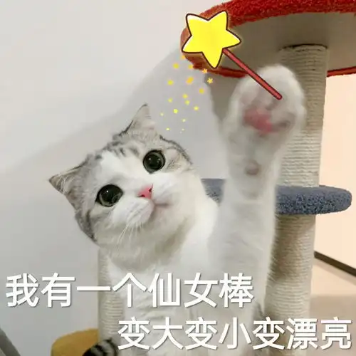 萌宠表情包你怎么回事小老弟
