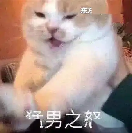 每次我到家,老公就往阳台挂鸟笼,像是给谁发信号
