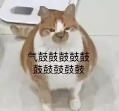 气鼓鼓表情包合集
