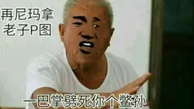 辐射新维加斯03辛辛苦苦几十年
