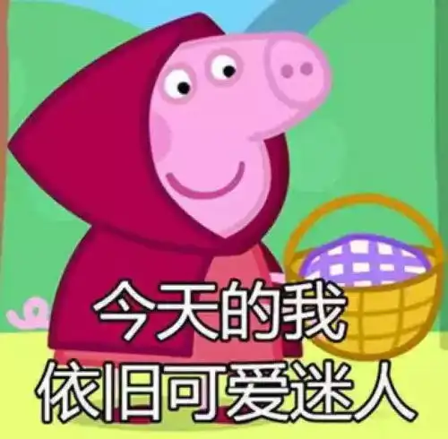 快来接收一大波猪年生肖纪念币带来的满满福气
