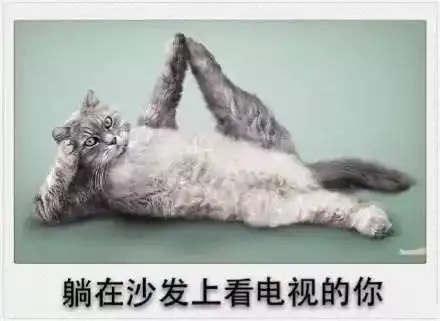 降温阴雨扬州人,你的剩余假期被这些承包返程这些路段要注意...
