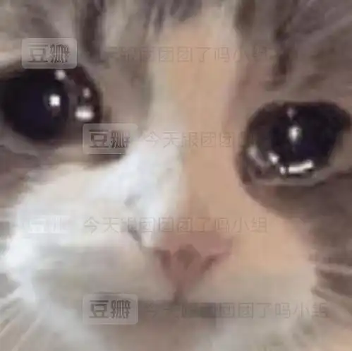 一只鸭仔快逃
