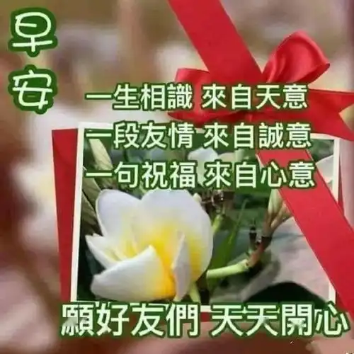 新版早晨好温馨问候表情图片带字,2020适合群发的早上好问候语录
