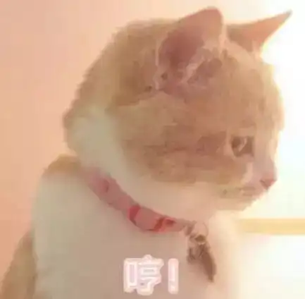 表情包系统提示,吸猫人士还有5秒到达斗图现场
