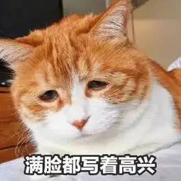 新年新气象,你的表情包该更新了没看过这些都不好意思发表情
