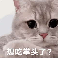 e个人momo地哭第236期喵表情
