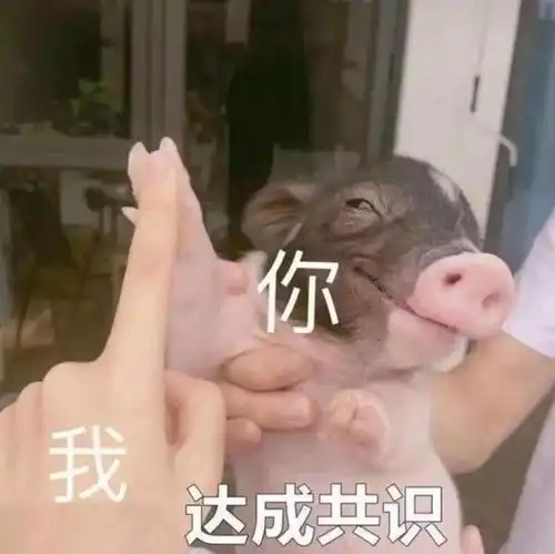 跟女生约会除了看电影还可以去这些地方,都是升温关系最佳地
