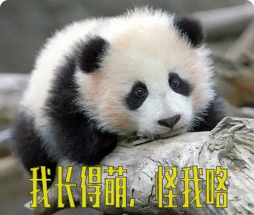 人在囧图234妈妈说b是不好的字眼不能念
