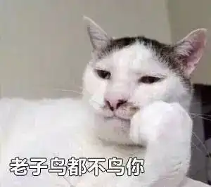 网友在宠物店拍到一只颓废喵,这坐姿让人看了好想...
