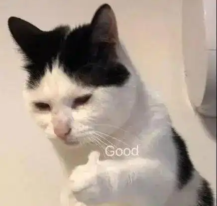 摸一下野生大猫的金色蛋蛋,全村人来吃席
