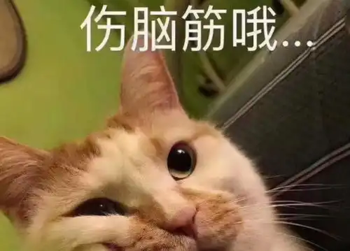 高考取消一门学科投票走红网络,英语跌至第二,第一众望所归
