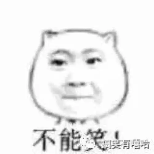 写这些寻人启事的人,简直是蒂花之秀造化钟神秀
