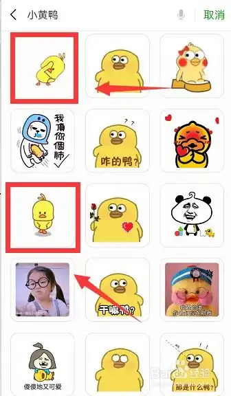抖音超火爆的小黄鸭表情包在哪儿找
