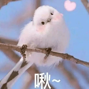 就是ta,承包了我一整年的吃喝玩乐
