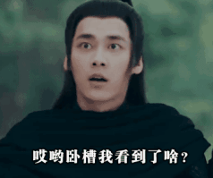 世界最凶猛的小鸟,因太过残暴被称为屠夫
