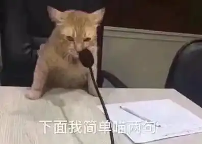 刚到家的小猫为什么一直叫啊,到底是怎么回事,该怎么办
