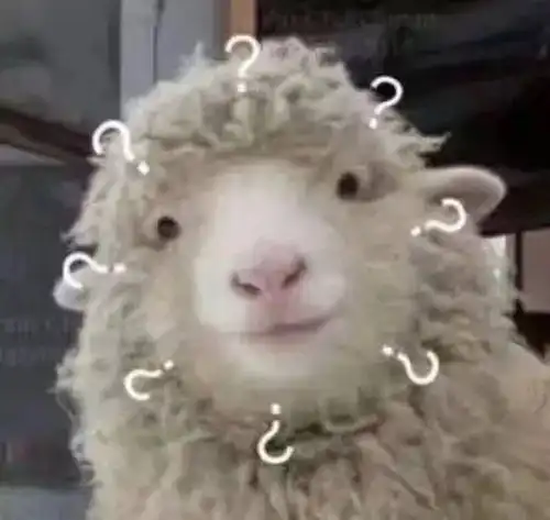 大家认为,夸一个人可爱是一个很高的评价吗
