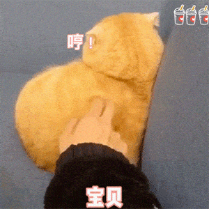 日常表情包月亮不睡我不睡,我是秃头小宝贝
