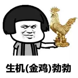 鸡年当然要用鸡表情包这些图助你成为斗图王者
