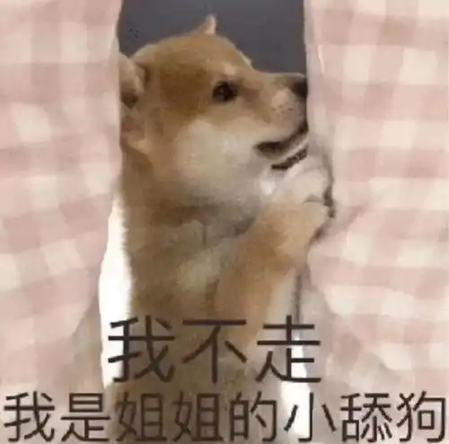 抖音搞笑表情包动图
