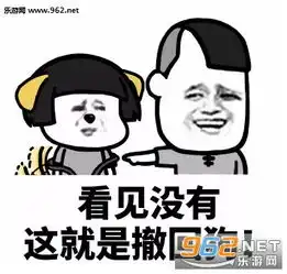 撤回消息后怼人表情图片怼撤回消息的表情包下载乐游网游戏下载
