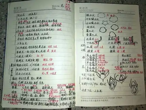 随小科感受学霸之力
