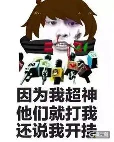 恶心死你王者荣耀双排开黑阵容推荐
