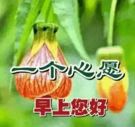 中午好表情图每天道一声问候,给您最美的祝福早安早上好我的朋友美梦网易订阅

