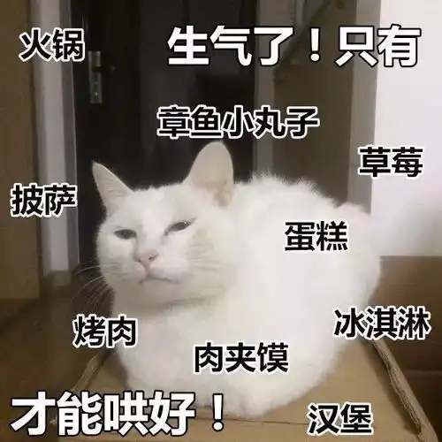 女朋友是猫,虽然傲娇,但是你在外面拈花惹草她都知道
