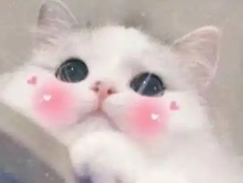 希望微信增加的功能
