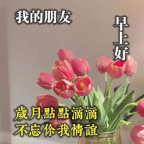 清晨励志的正能量说说,最美暖心的早安问候祝福图片

