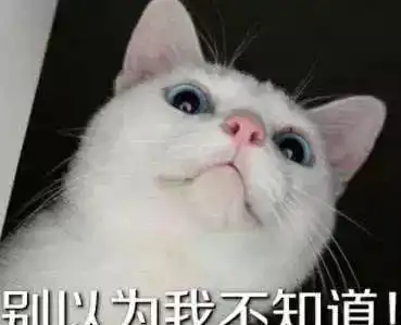猫咪舔jio被主人发现,反应过来后看主人表情亮了你也来口
