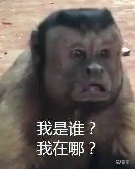 王宝钏,今天你挖野菜了吗
