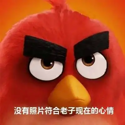 表情包没有照片符合老子现在的心情
